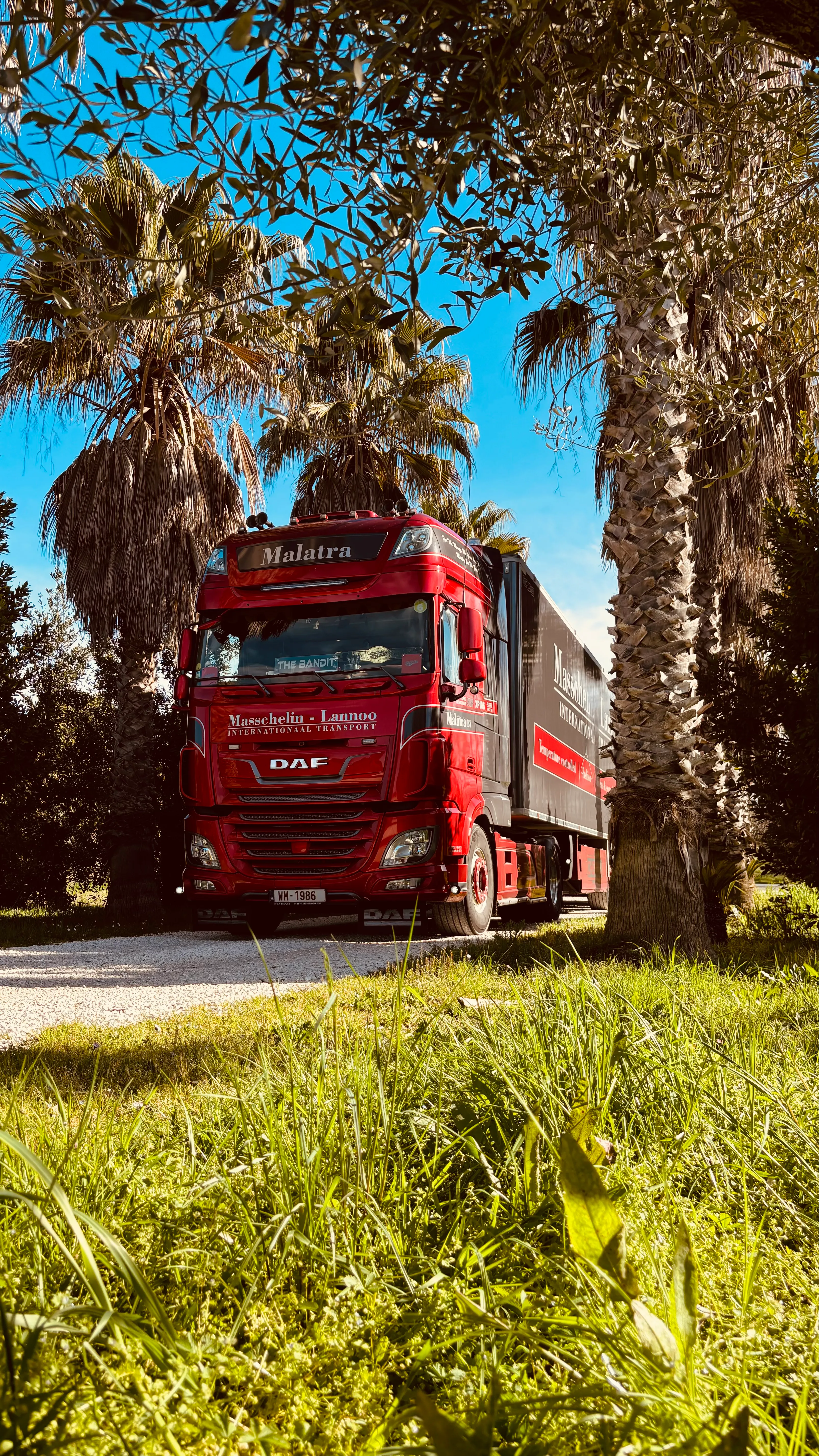 Malatra-trekker rijdt onder palmbomen en olijfboompjes door